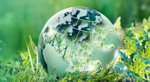 Environment
