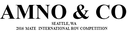 AMINO & CO